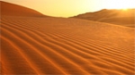 desert loop