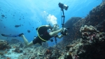 underwater photographer