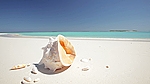 lagoon and shell